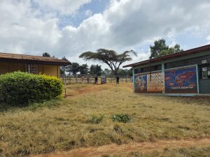 The High School and Primary school compounds